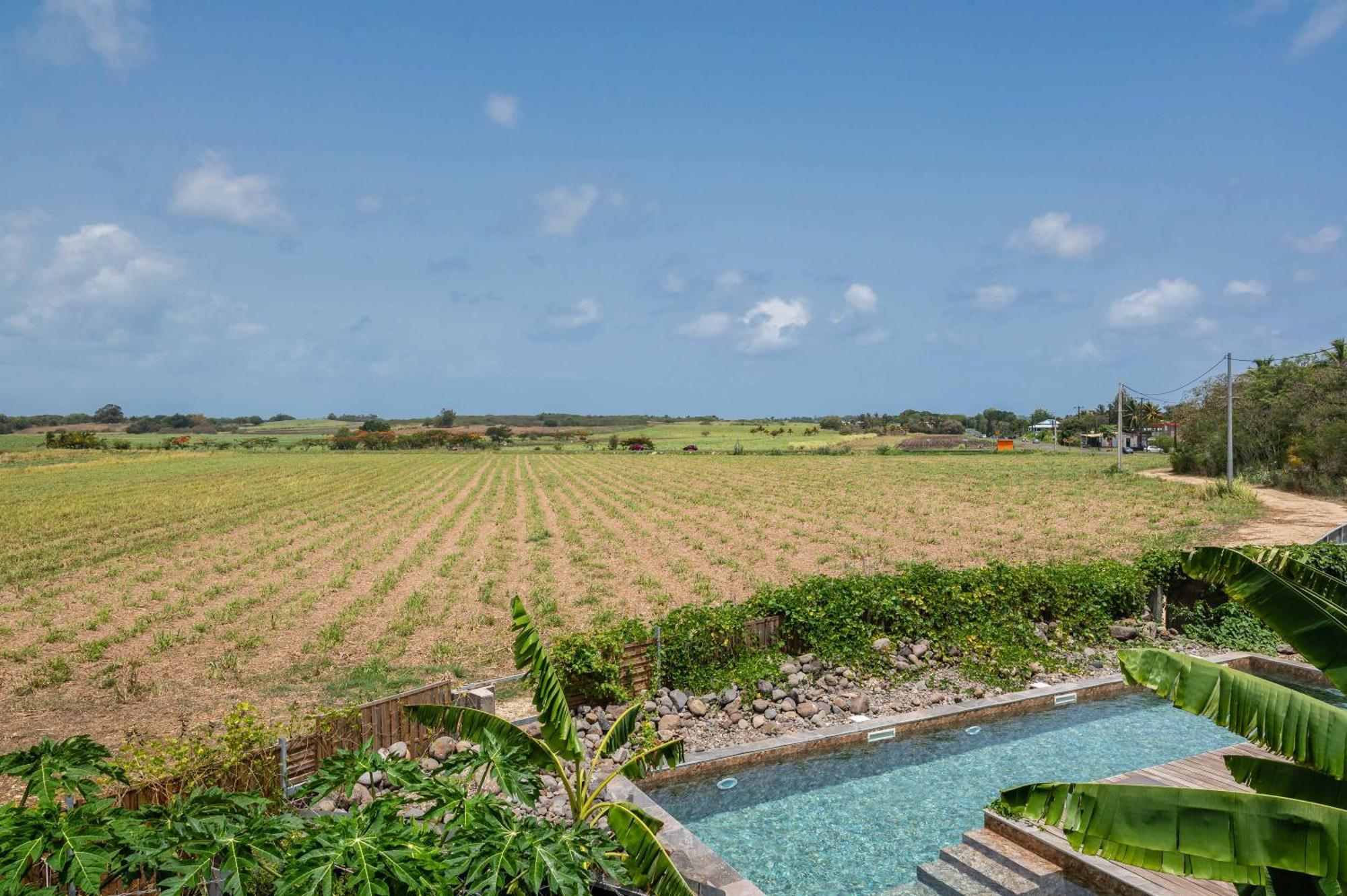 T2 Moderne Avec Piscine Oasis De Nature Et Serenite Petit-Canal ภายนอก รูปภาพ